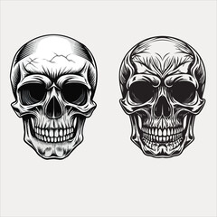Human skull vector and design