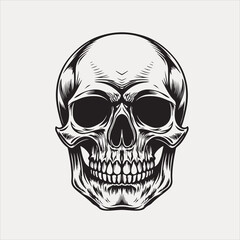 Human skull vector and design