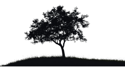 A fully detailed tree silhouette, isolated from its natural surroundings on white