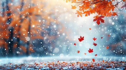 falling leaves snow autumn, winter season tree 