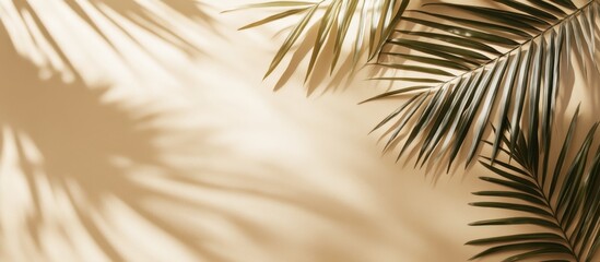 Obraz premium A serene close-up of palm fronds casting soft shadows on a sandy, textured background, evoking a tropical and calming ambiance.
