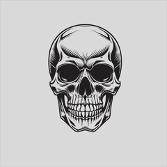 Human skull vector and design