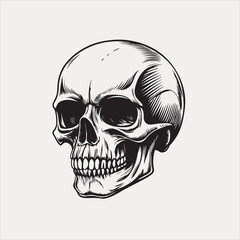 Human skull vector and design