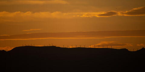 Wind turbine plant over sunset