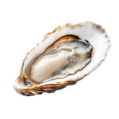 Fresh Raw Oyster on Half Shell Isolated on Transparent Background - High-Quality Seafood Image for Culinary and Food Industry Use