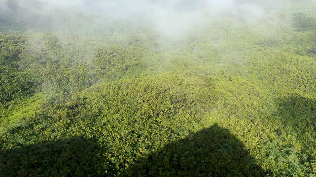 Aerial flyover from a stone tower through clouds with an expansive view of a tropical rainforest