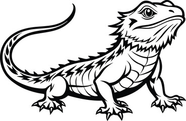 Bearded dragon line art animal silhouette vector icon, illustration on black and white.