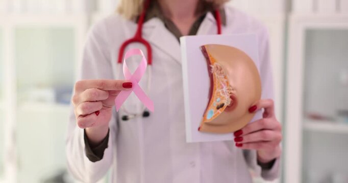 Woman doctor holds artificial model of female breast and pink ribbon symbol of cancer struggle. Concept of health care and female body structure slow motion