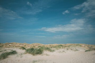 Calm grass dune landscape on the island of Texel in North Holland