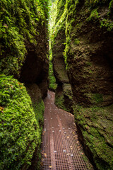 Dragon Gorge, Hiking area in Eisenach, Thuringia, Germany