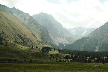 Obraz premium Harsh mountain landscape, snow and grass