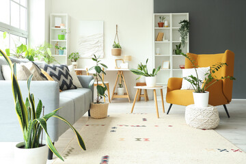 Interior of light living room with green houseplants, sofa and armchair