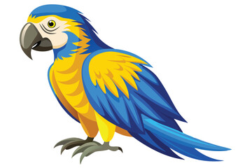 blue and yellow macaw Ara bird illustration on white background.