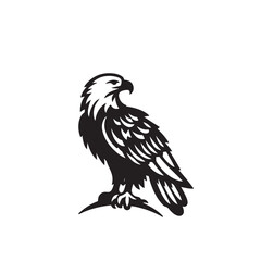 Silhouette of an eagle, silhouette of a flying bird., vector eagles collection