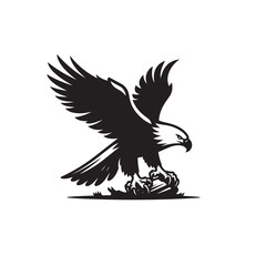 Silhouette of an eagle, silhouette of a flying bird., vector eagles collection