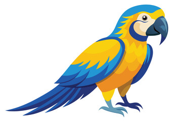 blue and yellow macaw Ara bird illustration on white background.