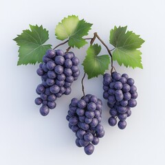 Fototapeta premium A cluster of purple grapes with green leaves on a white background.