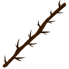 Sharp branches placed on a white background.