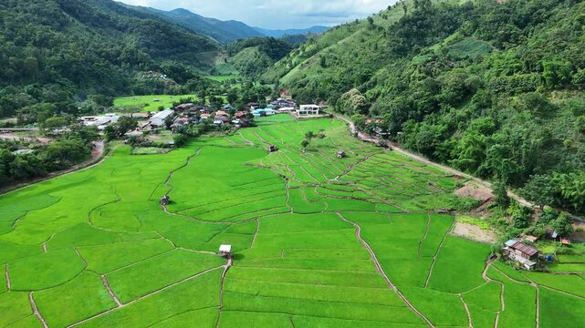 Aerial view of Green Terraces rice field, a beautiful natural beauty on mountain in Nan, Ban wen Rice Terraces, Bokluea Nan Province, Thailand.