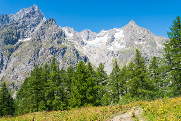 Italian alps mountain chain, in Aosta Valley, Italy, with rock peaks, glaciers and green pines on a hiking track. Blue sky on the background.