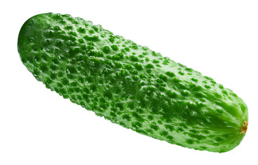 Cucumber Isolated white background. Cucumber with clipping path
