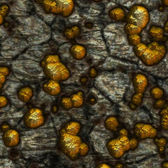surface of a stone texture background, Trendy template inspiration for your design.