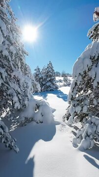 Ripresa aerea tra i rami degli alberi coperti di neve fresca.
Volando con il drone tra gli alberi coperti di neve fresca. Alba con il sole in controluce.
