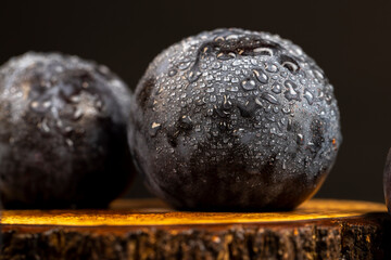 close-up of purple plum fruits in drops of water