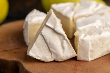 soft processed cheese with edible white mold