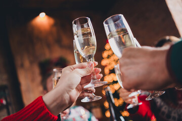 Cropped photo of big full family hold champagne clink celebrate christmas festive time apartment indoors