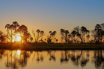 Sunset within the Okavango delta in Botswana.