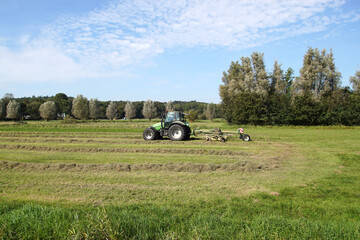 Tractor and Hay rotary tedder on a Dutch meadow with mown grass, hay. Early Autumn, September,...