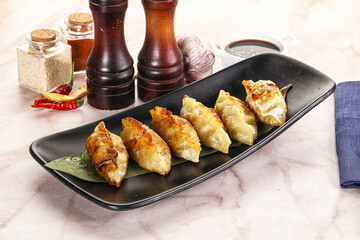Fried Japanese stuffed dumplings - Gyoza