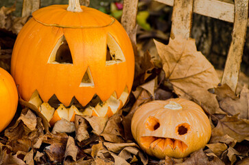 halloween pumpkins and fallen leaves in a street decoration