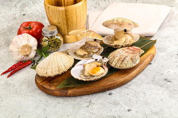 Raw fresh scallops in the shell