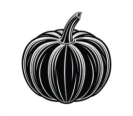 Pumpkin vector on white background