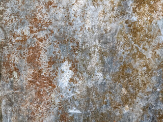 The close-up texture of the mossy wall surface with various shades of brown, gray, and white. The rough and mossy appearance shows signs of aging, oxidation, and weather-induced wear and tear. 