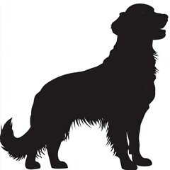 Obraz premium Golden Retriever Silhouette.