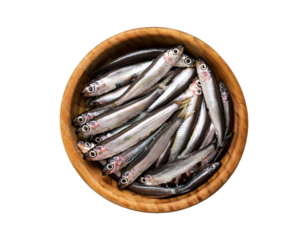 Anchovies in wooden bowl, flat lay, transparent background PNG