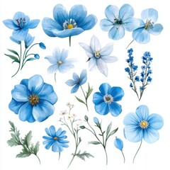 Blue Flower Watercolor Set.