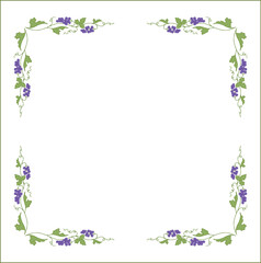 Vegetal frame with grapevine,  bunches with blue grape, decorative corners for greeting cards, banners, business cards, invitations, menus. Isolated vector illustration.	
