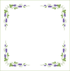 Vegetal frame with grapevine,  bunches with blue grape, decorative corners for greeting cards, banners, business cards, invitations, menus. Isolated vector illustration.	
