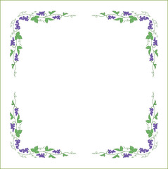 Vegetal frame with grapevine,  bunches with blue grape, decorative corners for greeting cards, banners, business cards, invitations, menus. Isolated vector illustration.	
