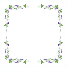 Vegetal frame with grapevine,  bunches with blue grape, decorative corners for greeting cards, banners, business cards, invitations, menus. Isolated vector illustration.	
