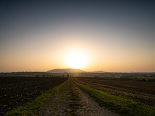 sunset over the field