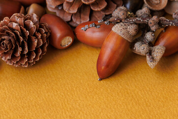 どんぐりと松ぼっくりの秋のイメージ