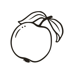 The apple icon is hand-drawn isolated on a white background. Vector single object, logo apple fresh fruit, coloring
