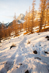 Schnee Wanderung Österreich Alpen Berge