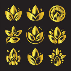 Almond logos collection. Almond black logo set. abstract logos. Icon design