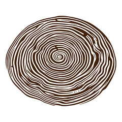  Hand drawn tree ring wood circle vector flat design